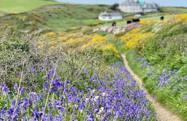 Charming coastal cottage - pet friendly! - Photo 30