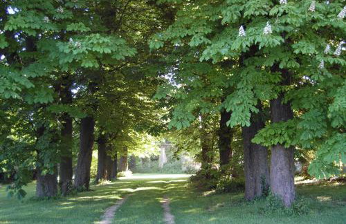 Gite du chateau - Foto 8