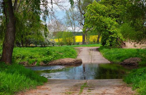 Ilsehof Apartment Berta - Foto 42