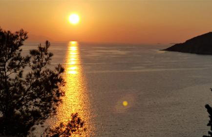 Villa Jagoda - Foto 1