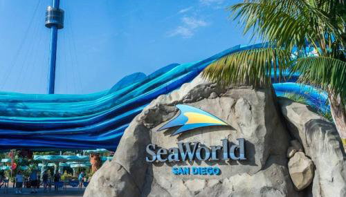 Sea & Sun Getaway near Seaworld - Foto 5