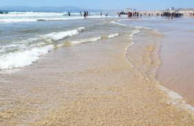 Casa Luz - Brejos de Azeitão - Foto 61