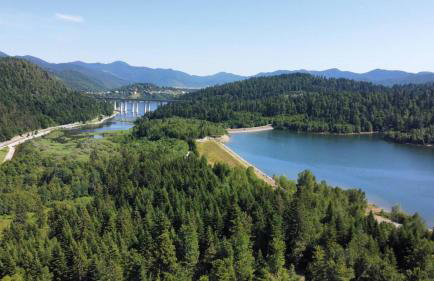 Forest Fairy - Foto 7