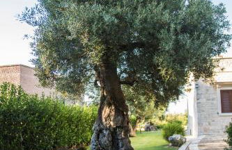 Villa Il Mio Paradiso - Foto 35