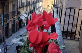 Plebiscito Suite Apartment - Photo 13