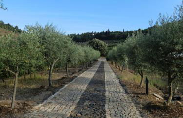 Quinta das Aveleiras - Foto 8