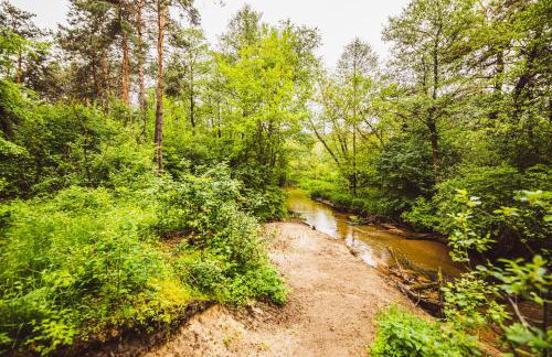 Autumn Nature Cottage Stove Garden by PolandBnB - Foto 50