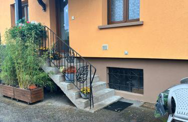 Grand appartement au cœur de la région alsacienne - Photo 11