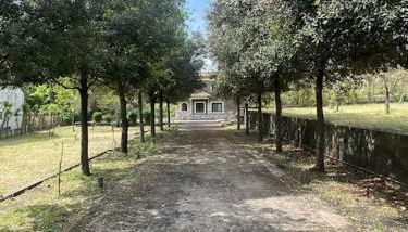 Villa Caterina, alle pendici del Vulcano Etna - Foto 2