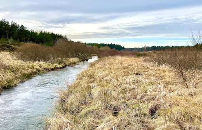 4 Star Holiday Home in Brande - Foto 50