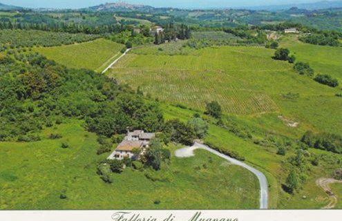 Fattoria di Mugnano - Foto 2