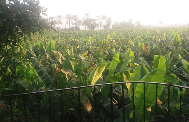 Adam Apartments - Foto 74