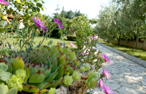 Holiday Home Magnolia - Photo 16