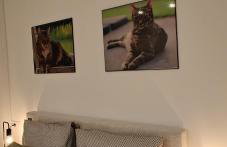 Casa Lita - Foto 38
