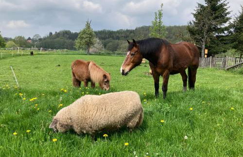 Gut Kalkhäuschen, ein Ort mit Geschichte - Foto 39