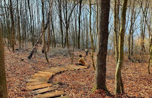 Schody do wody Domek z linią brzegową Kaszuby sauna goraca balia - Foto 58