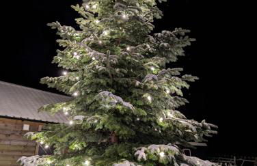 The Cairn at North Lodge, Rural Guest Suite - Foto 47