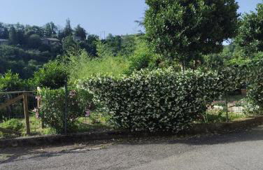 casavacanzetorresansevero - Foto 19