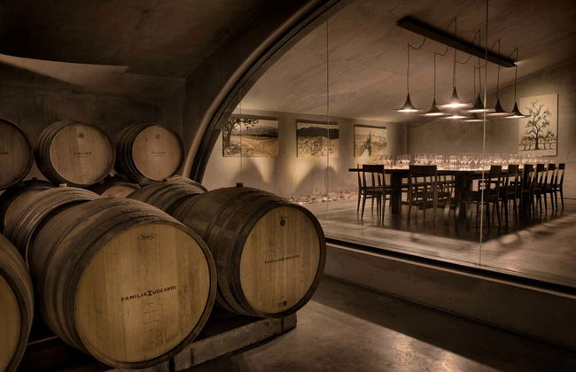 Tour nel sud della zona vitivinicola della Valle de Uco - Foto 8