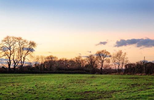 Sunset View - Photo 30