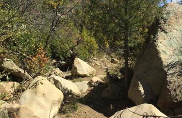 Old Raton Pass Base Camp Cabin with Loft Northern New Mexico Mountain Ranch on Colorado Border cabin - Foto 29