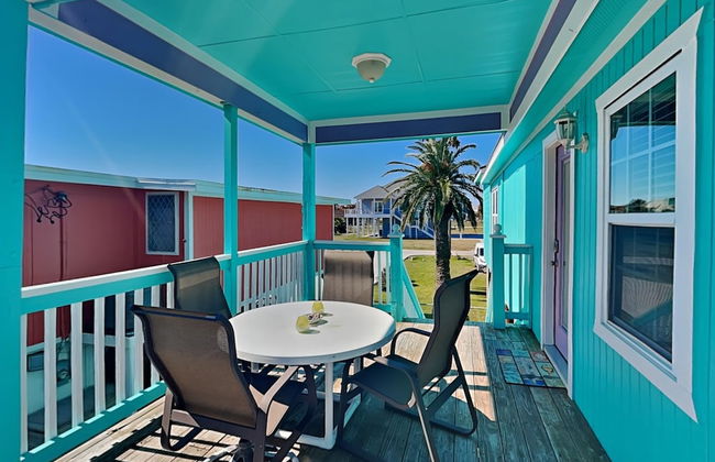 Blue Curlew - Photo 25