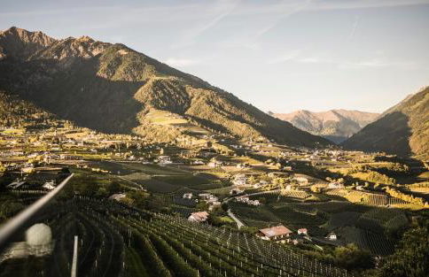 Vinea - Suites & Apartments - Foto 128