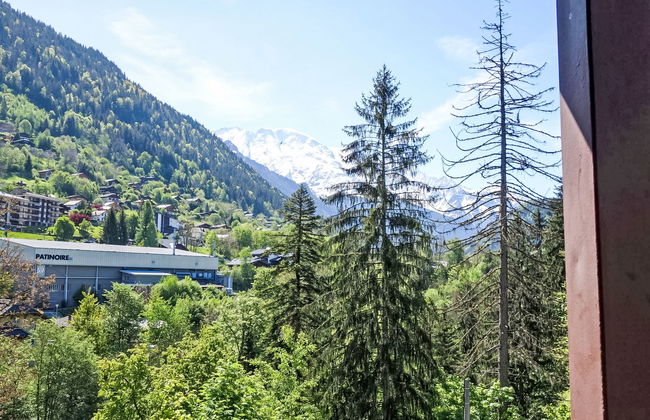 Castel des roches - Foto 22