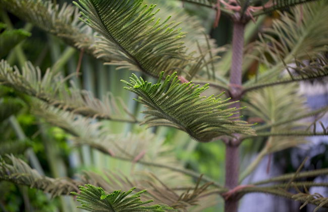 Tolani Nimman Villa Chiang Mai - Photo 20