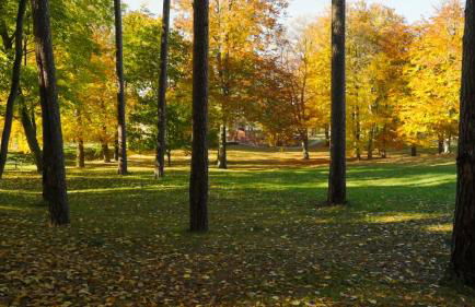 Parkresidenz Lychen, Ferienwohnung 5 - Photo 69