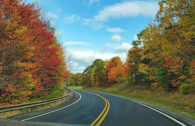 Catskill Retreat - Foto 58