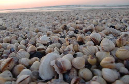 Blick Wismarer Bucht - ABC51 - Photo 21