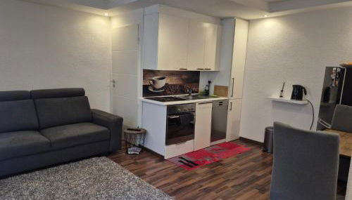 Eigenes Appartment 2 Zimmer nähe Frankfurt - Foto 3