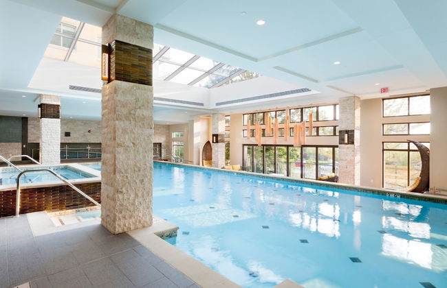 Bluebird Suites in Reston - Photo 37