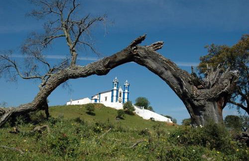 Praia de Messejana - Foto 42