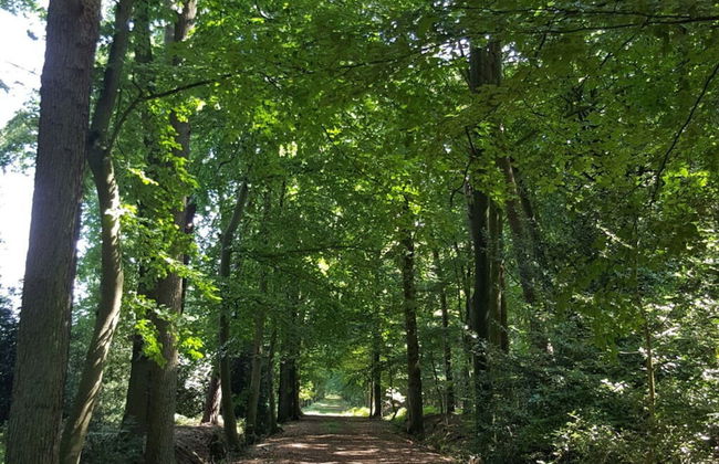 Pleasant Apartment in Ostbevern - Photo 19