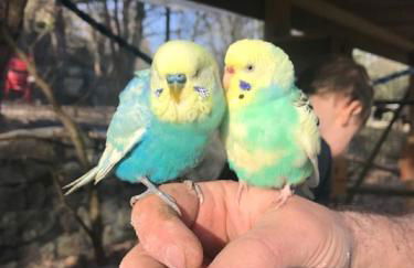 Le Mas de la Grenouillère - Foto 43