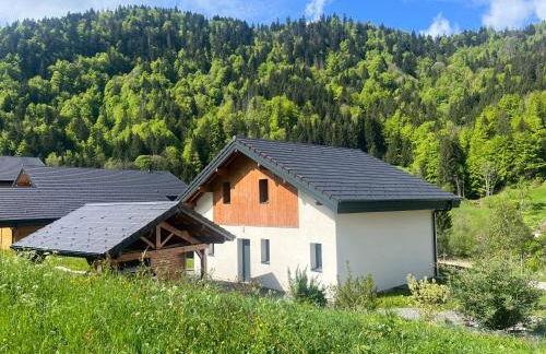 Villa en Bellevaux avec sauna et jacuzzi - Foto 1