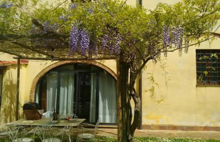 Agriturismo I Moricci - Foto 40