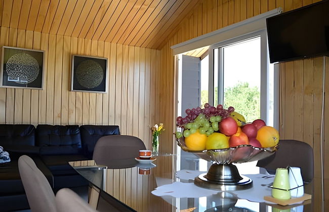 Oceana Suites Curiñanco - Foto 39