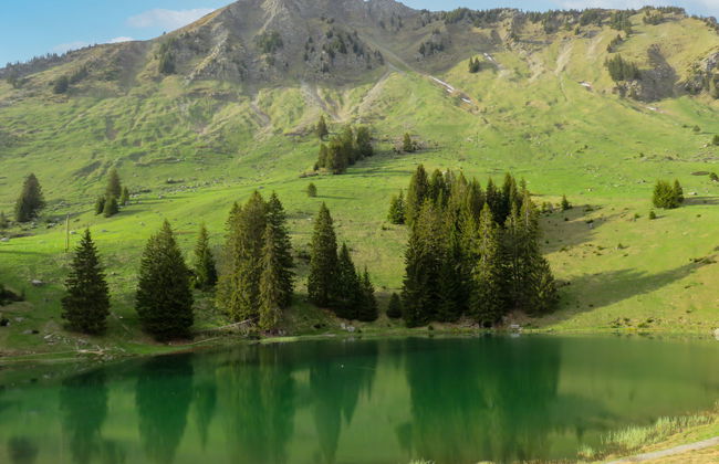 Chalet L'Aube - Foto 23