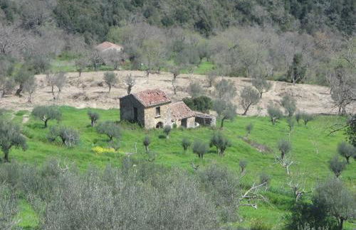 Casal Finocchito - Foto 35