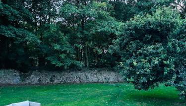Shepherds Hut with Hot Tub - Foto 4, Garden, Garden view