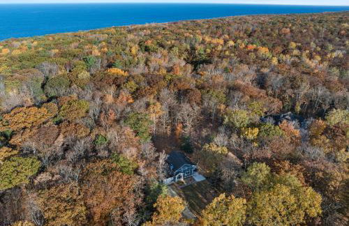 The Dreaming Tree - Foto 16