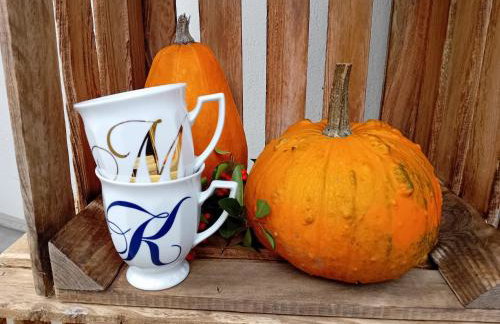 Dwór Podstolice - House of Rosenthal - Foto 71