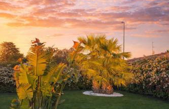 Villa Ikal - Photo 3