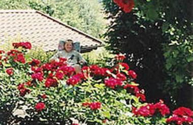 Haus Bergblick Bay. Wald - Foto 2