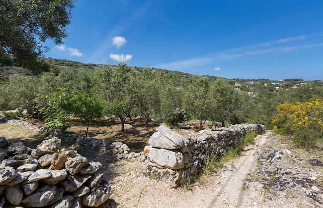 Il Giardino delle Cipolliane - Foto 67