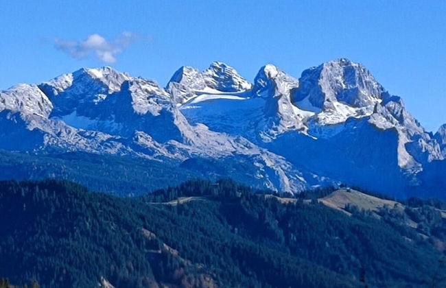 Holiday Apartment The Neuhaus - Foto 43