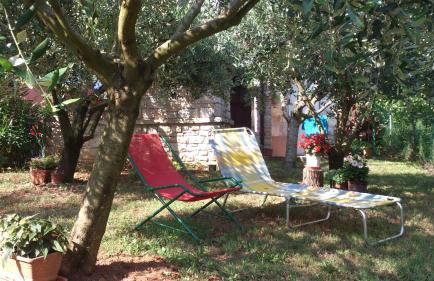 Apartments Mana - Foto 9